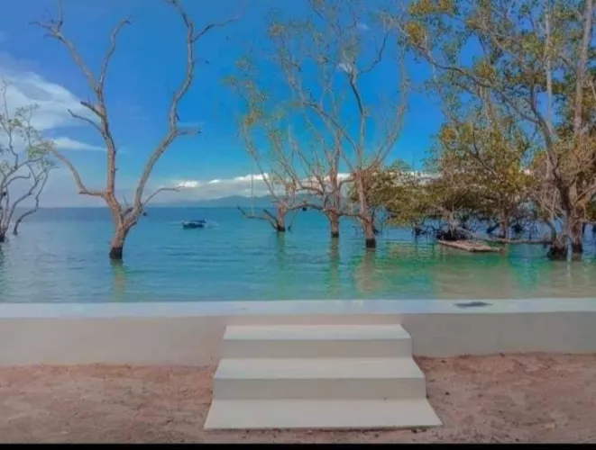 we can enjoy this kind of view 