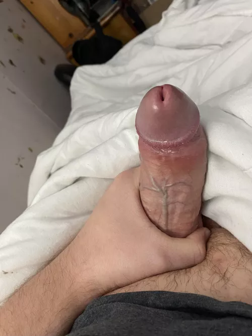 You wake up to this and do what?