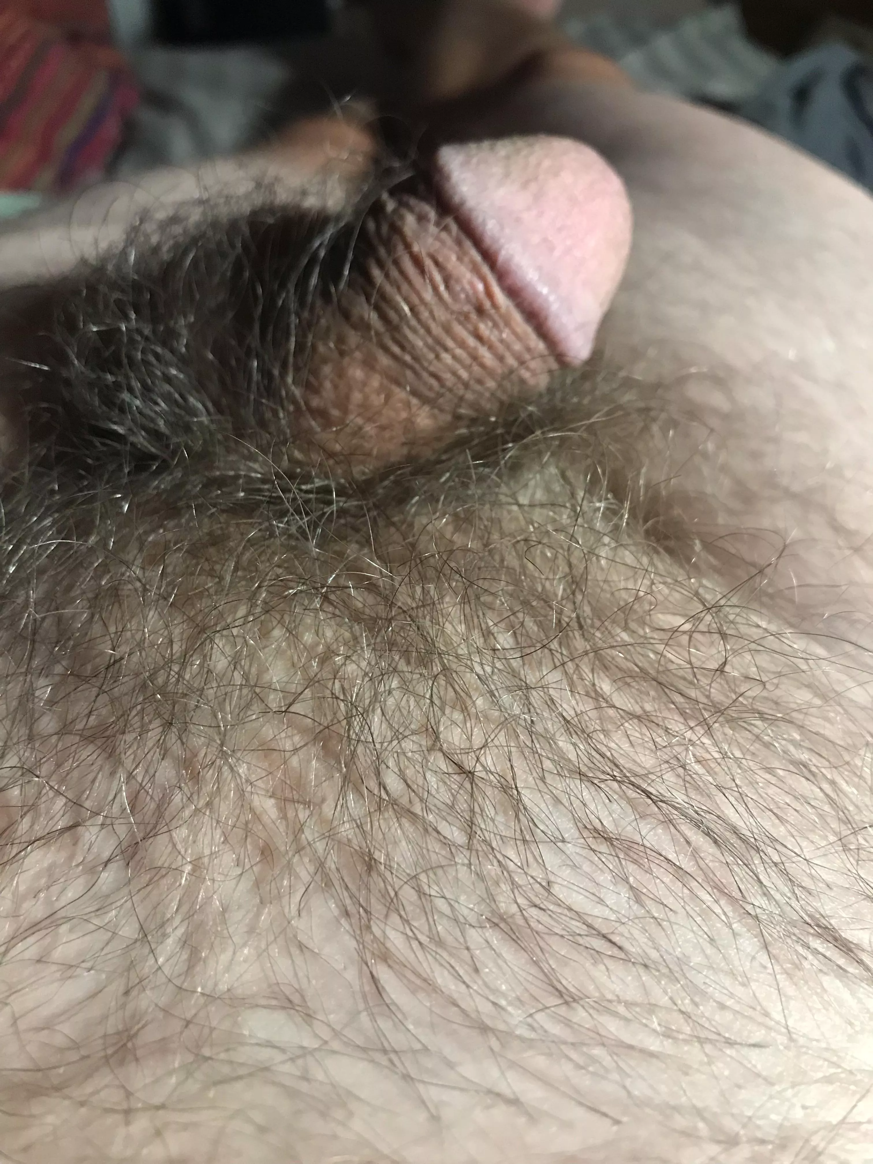 (50) I like my penis…how about you?