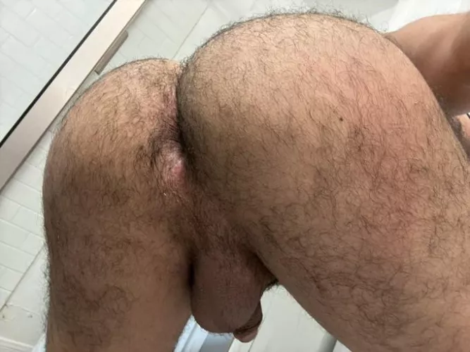 How’s the view? Would you breed me 🙊