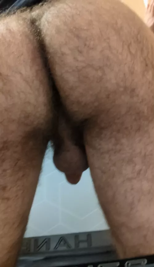 I took a sneaky photo of my hairy ass in a public restroom 