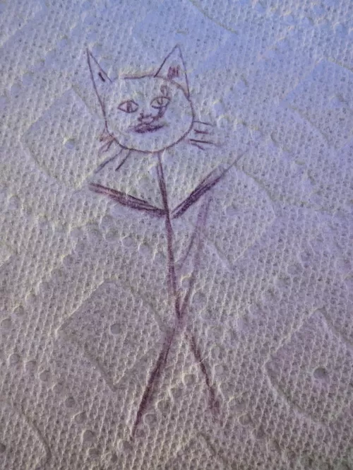 So inspired was I to see all the other artwork, that I finally sketched my masterpiece! My magnus opus!! Guess what....the canvas is *gasp* the coveted papahtowhel. Credit: ME!!!! 