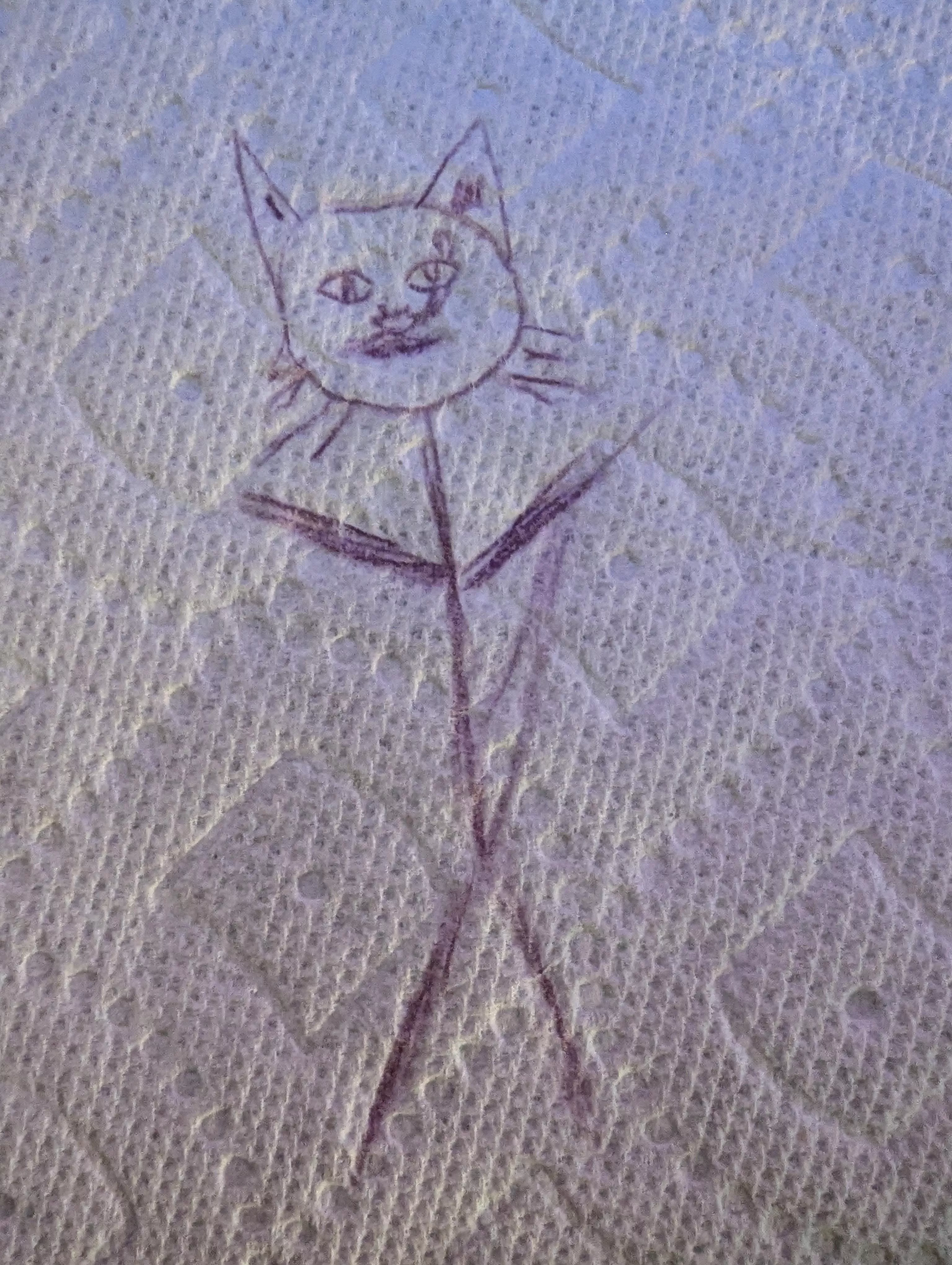 So inspired was I to see all the other artwork, that I finally sketched my masterpiece! My magnus opus!! Guess what....the canvas is *gasp* the coveted papahtowhel. Credit: ME!!!! 