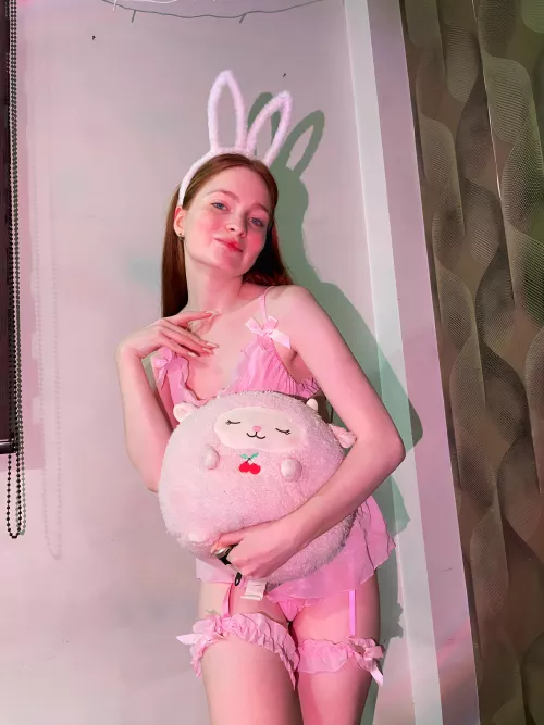 today for you I am a rabbit