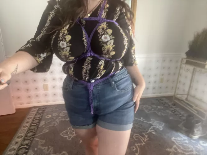 Chest harness with waist/crotch rope