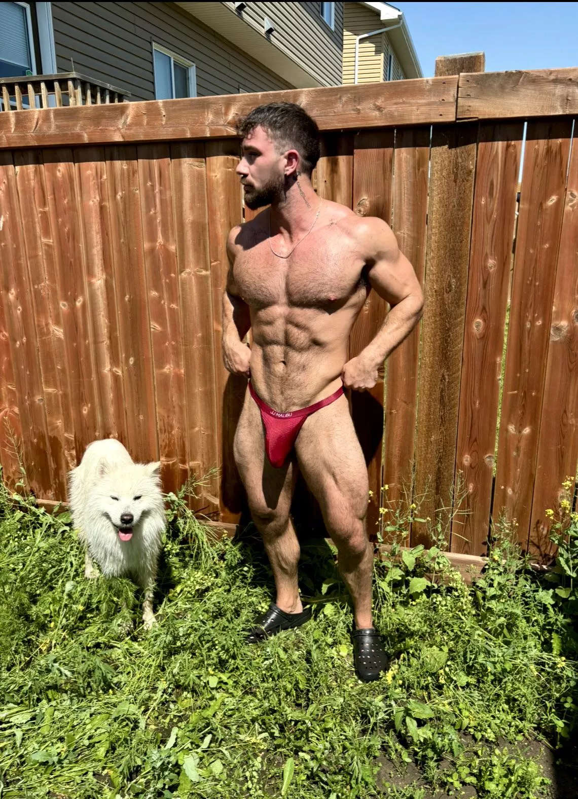 Do you wanna be my neighbour?