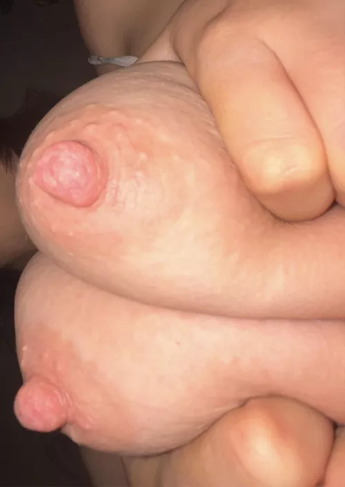 I wonder if you can suck them both at the same time