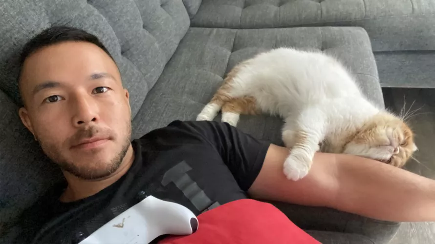  My cat wants me to pay attention to him instead of gaming