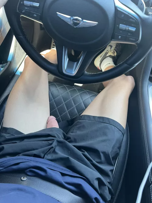would you suck it while i drive?