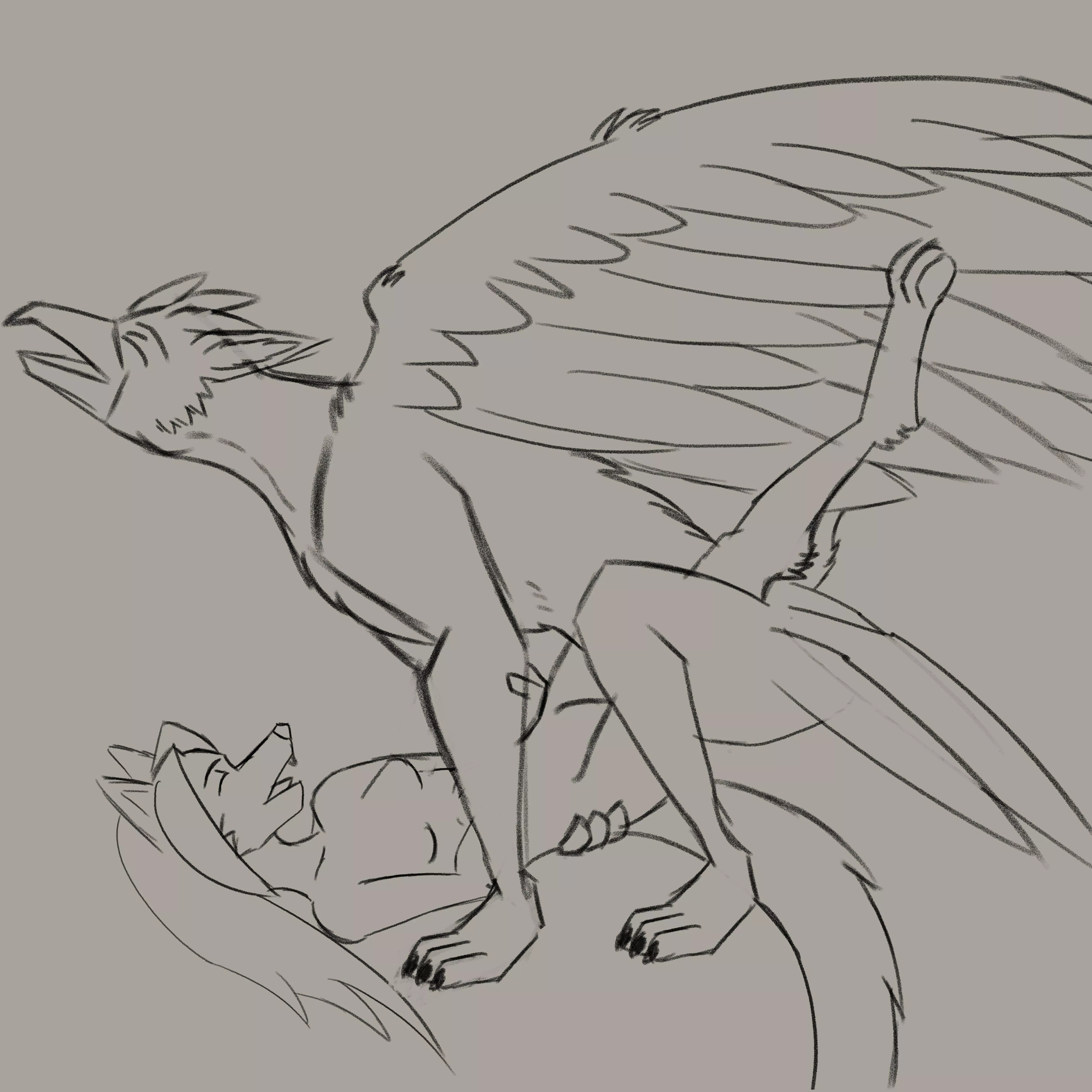 A wolf girl and her griffon [wip](newtype89)