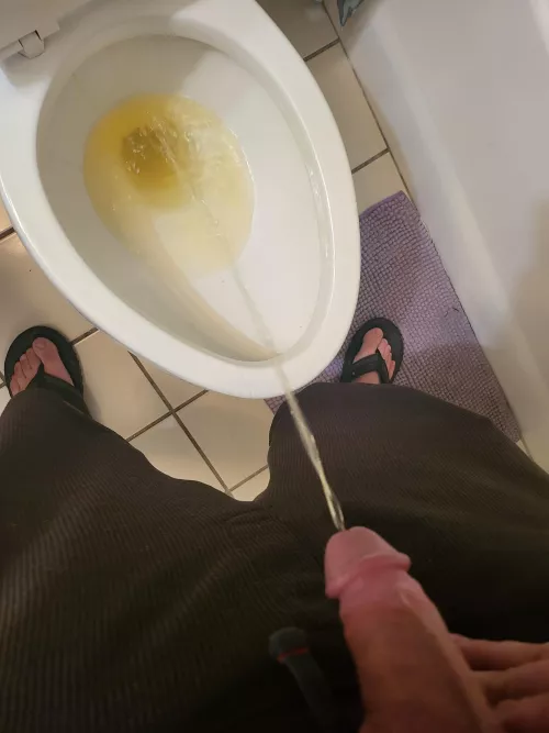 Can i have a human toilet?