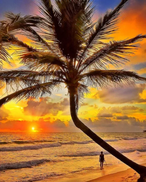 Enjoying walking on the beach while watching the sunset