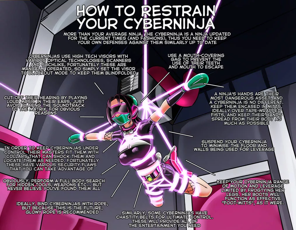 How to Restrain your Cyberninja