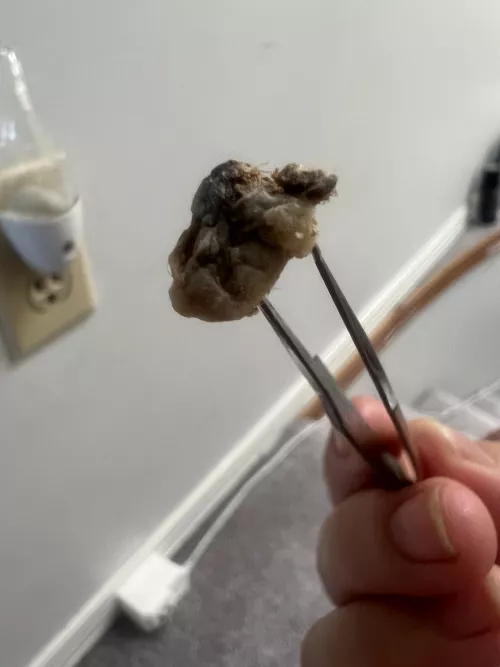 Just removed this 25 year old Naval Stone..