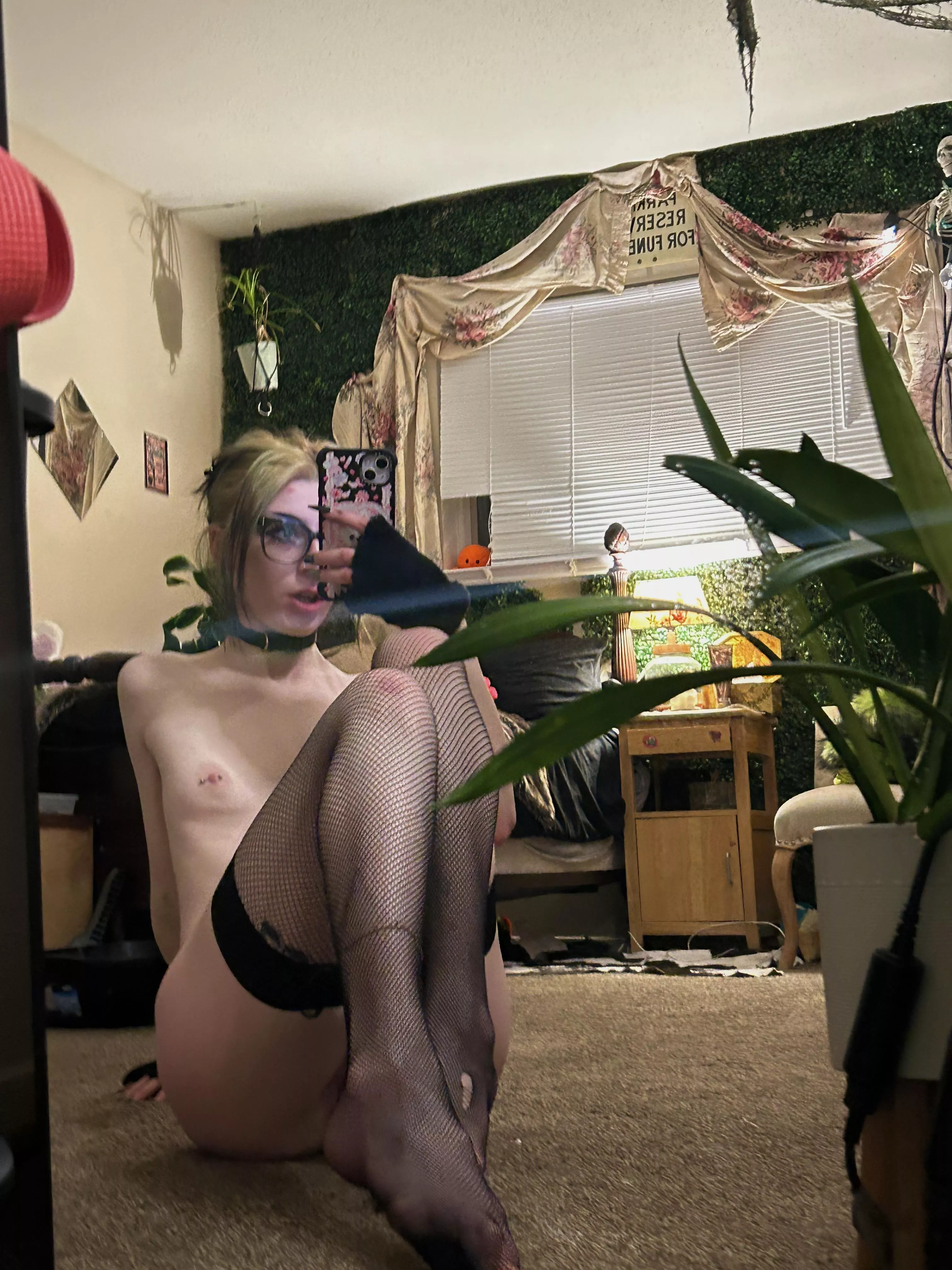 What's the best name for them