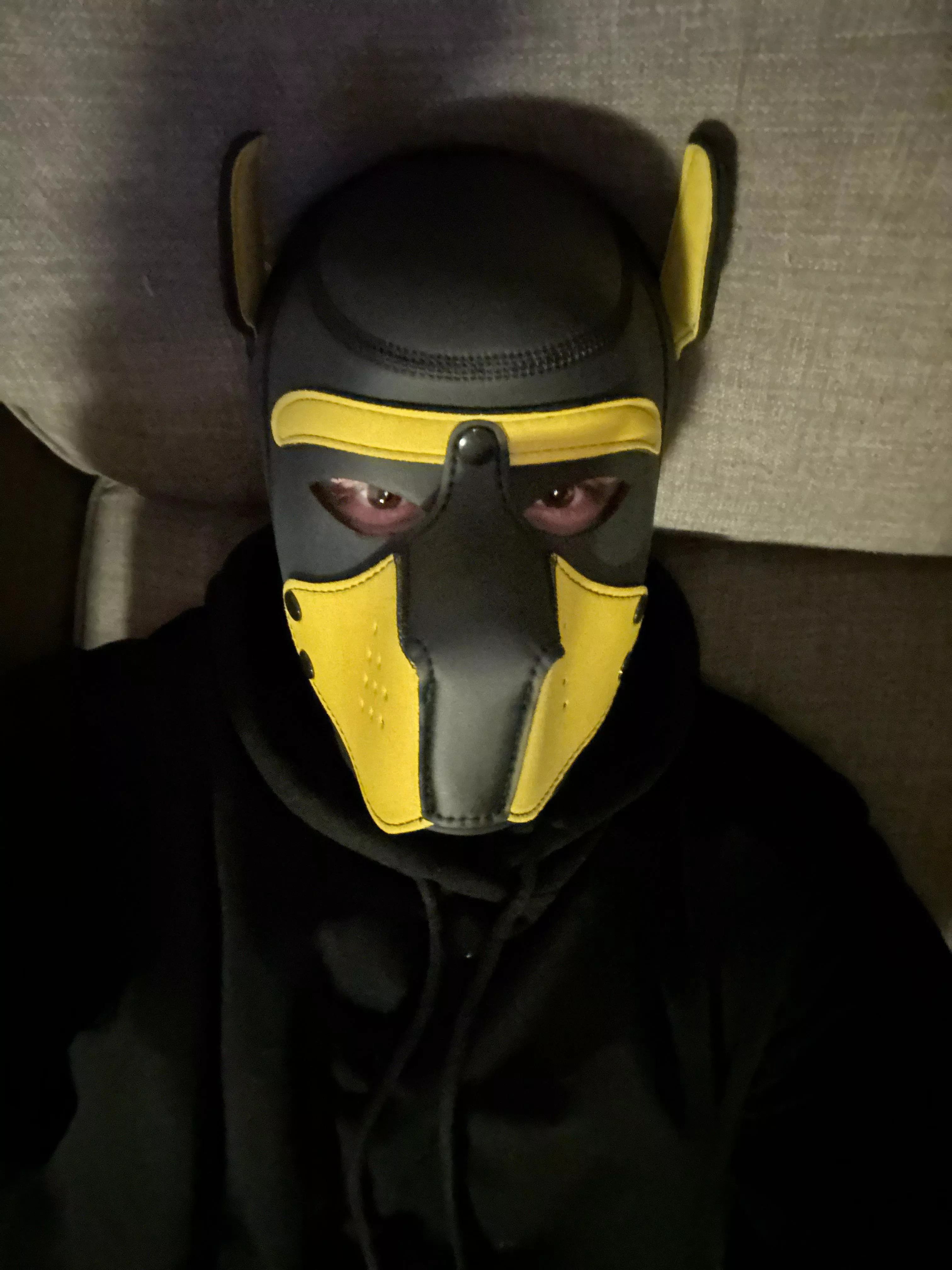 19m twink femboy Finally I’ve got my mask yayy :3