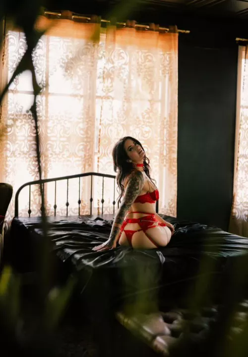 Can someone walk me like a dog or breed me 