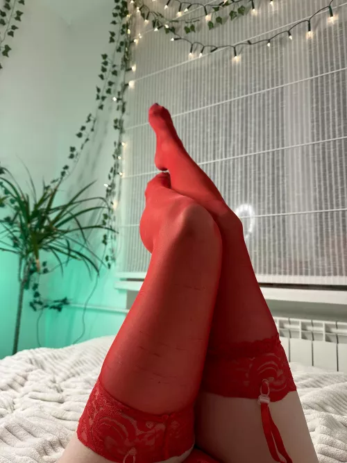 [F] I feel so sexy in these stockings