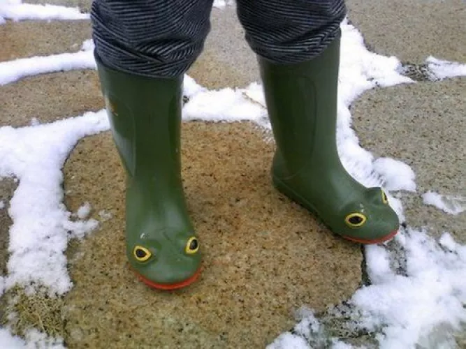 Froggy boots please call them Froots.