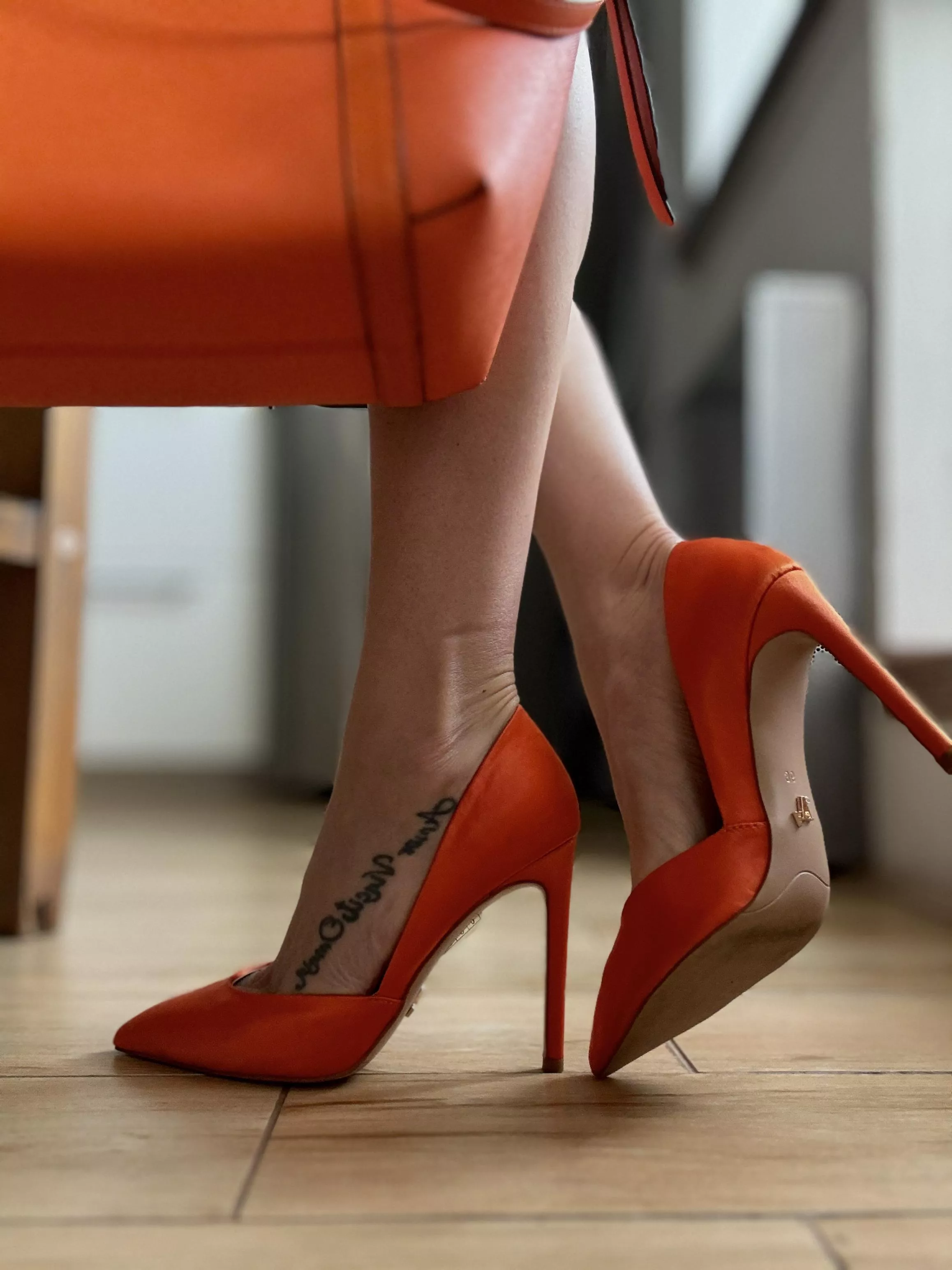 I just love how elegant these heels are 