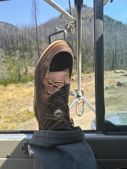 New Boot Goofin’: Irish Setter Ashby