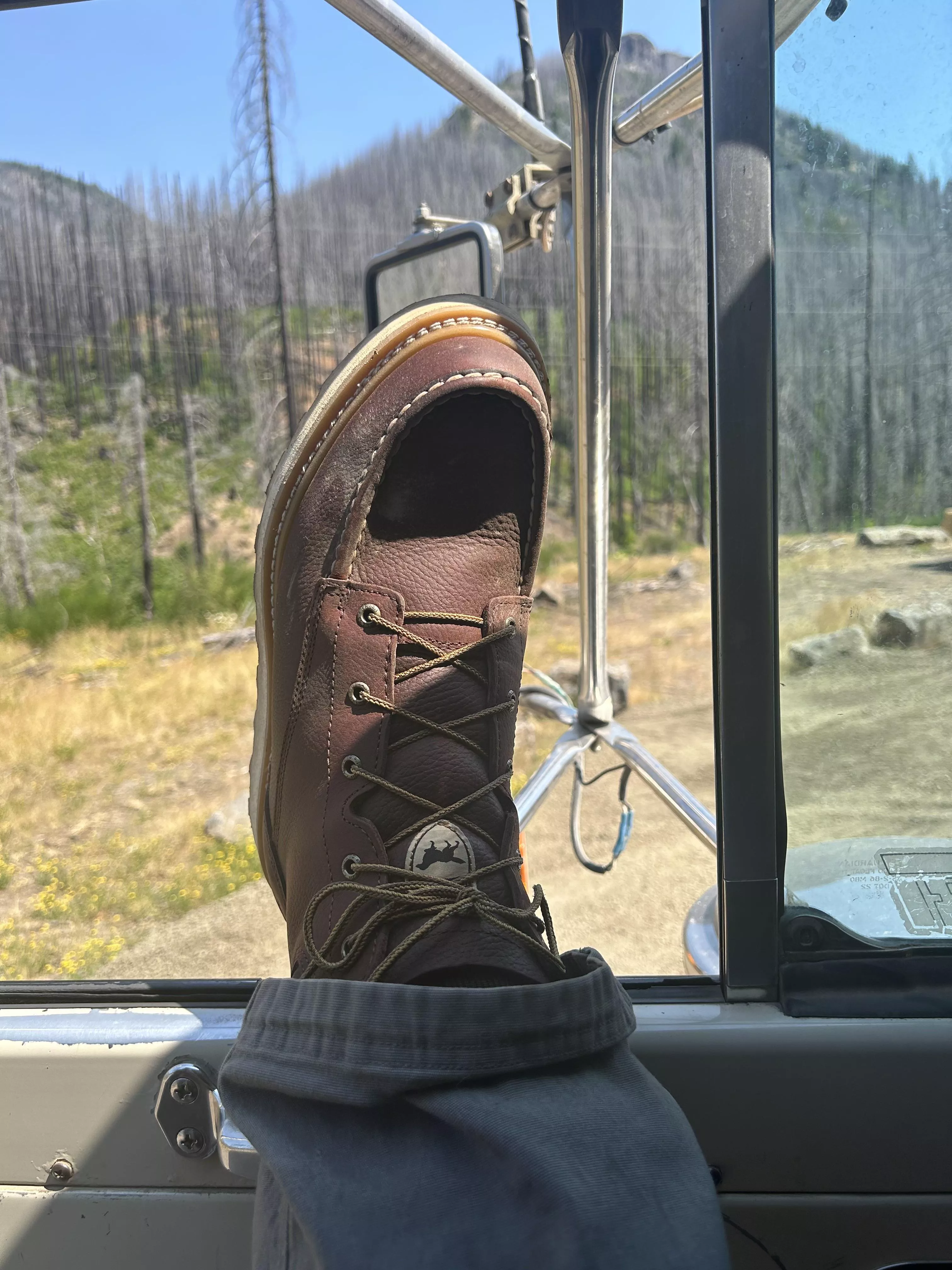 New Boot Goofin’: Irish Setter Ashby