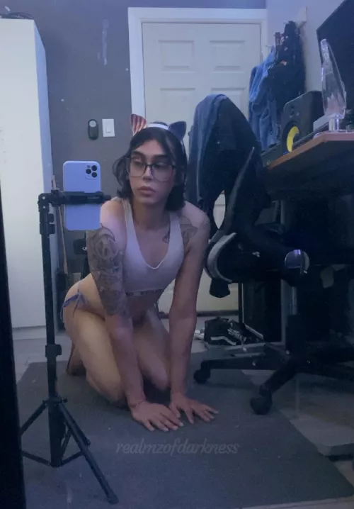 not ashamed to say that i'm a wannabe fawn winters 🐱