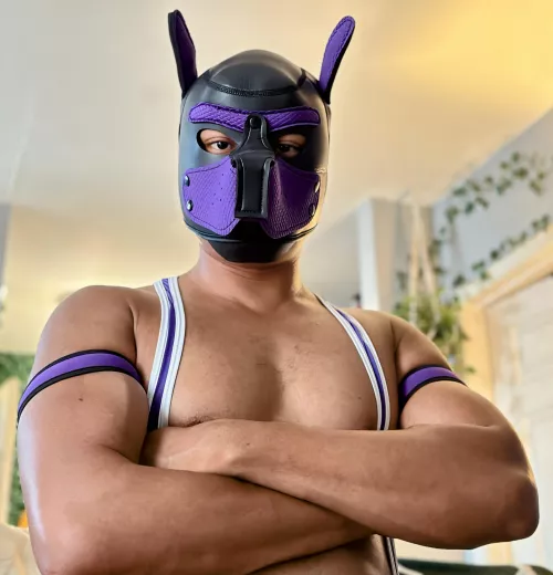 Unleashing a new adventure! 🐾