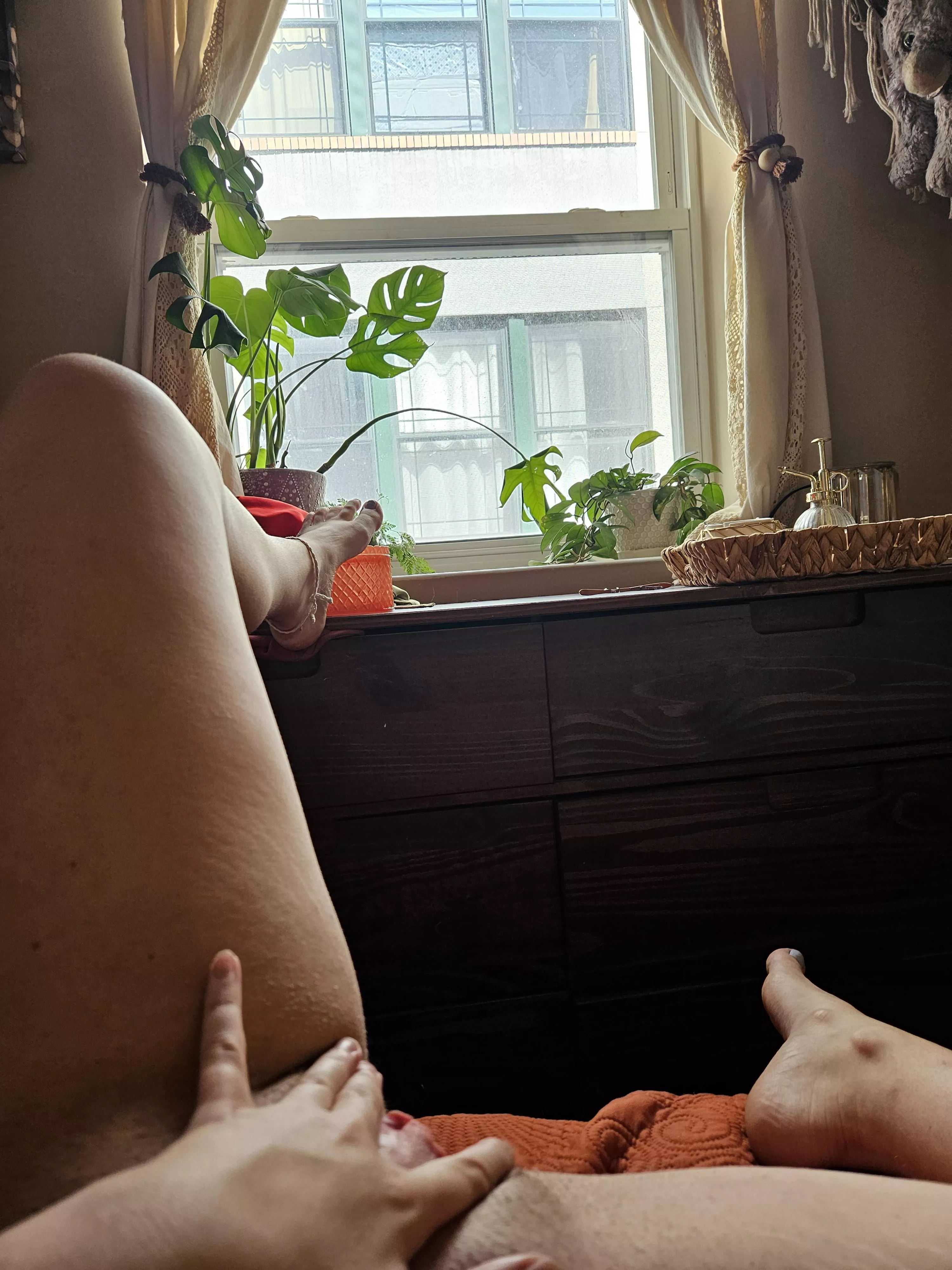 What would you do if you were my neighbor?