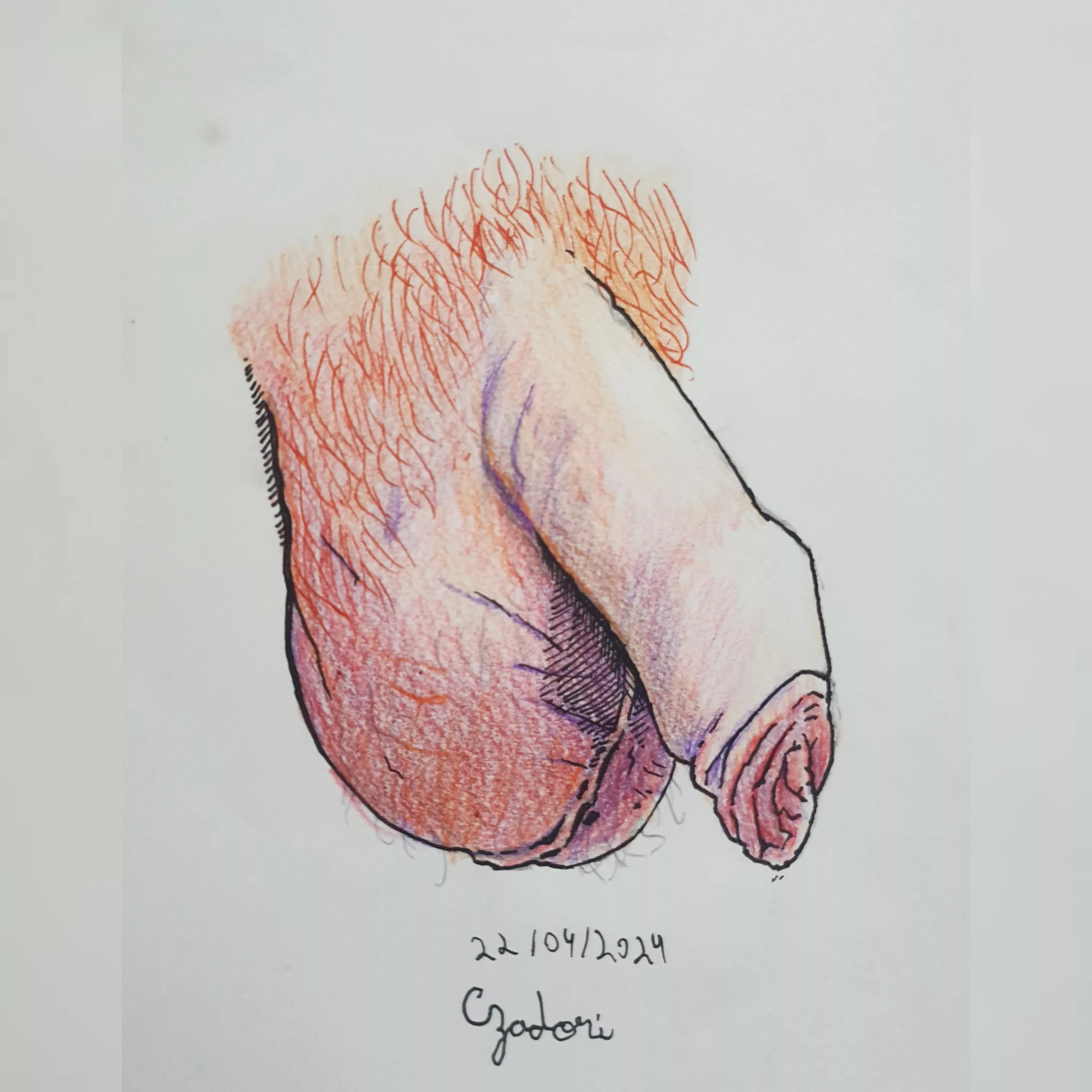 A drawing ive did for an model in insta, its hand made by me 