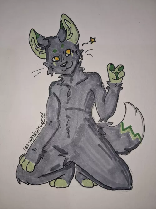 Any furs near Darwin, Northern Australia?