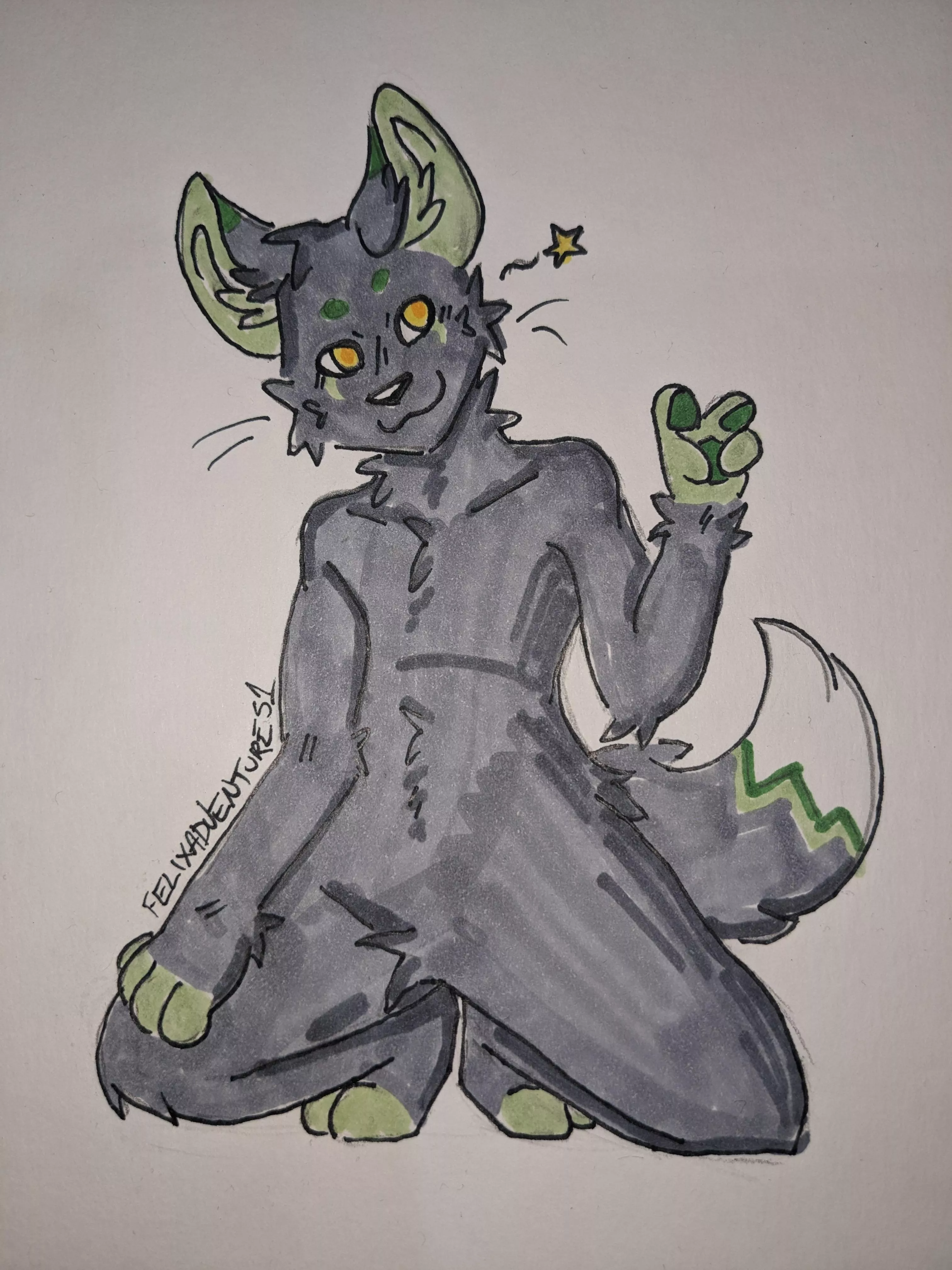 Any furs near Darwin, Northern Australia?