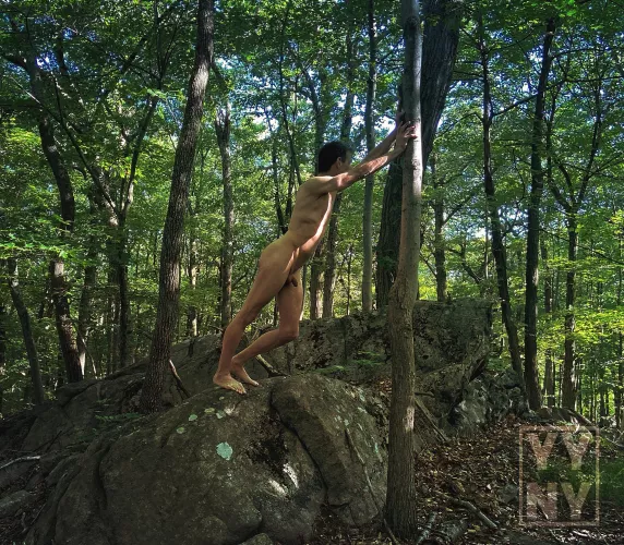 I was told to hold up this tree or all the trees in the forest would fall!! 🌳