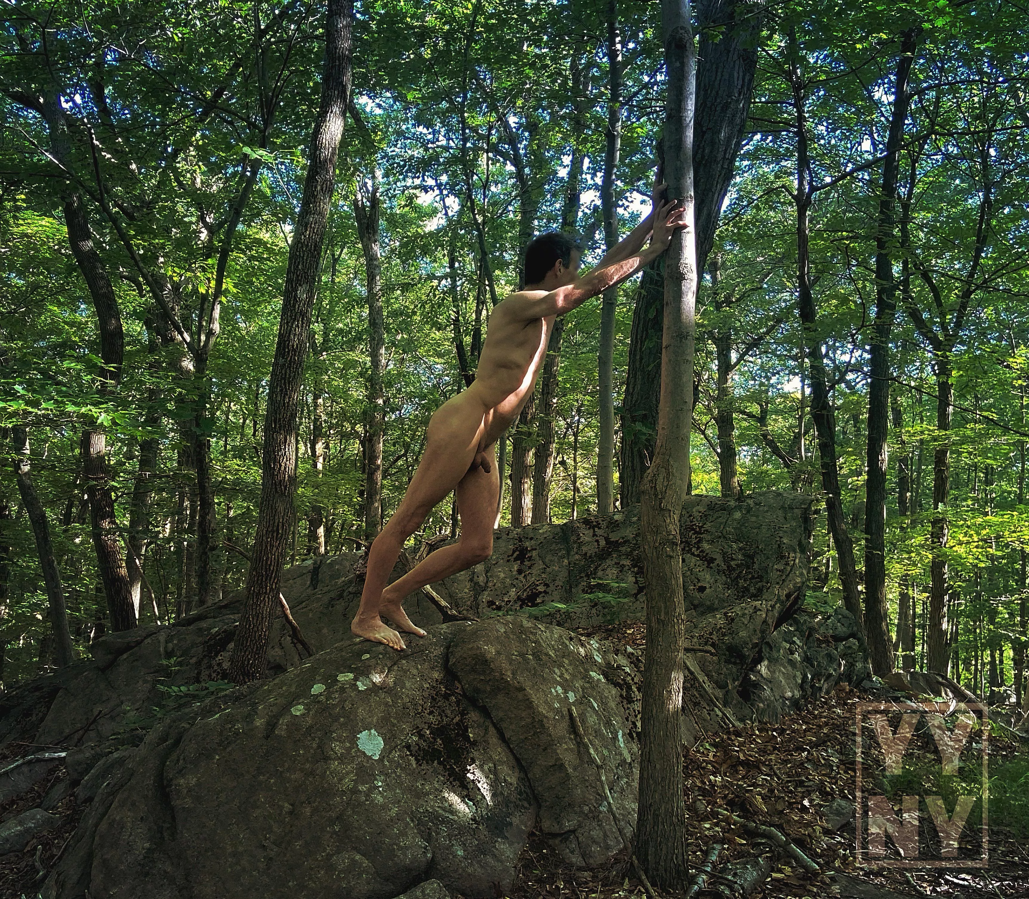 I was told to hold up this tree or all the trees in the forest would fall!! 🌳