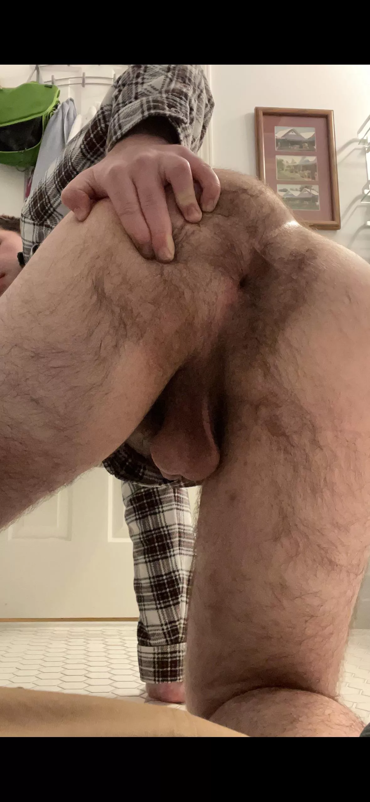 It needs to be stuffed