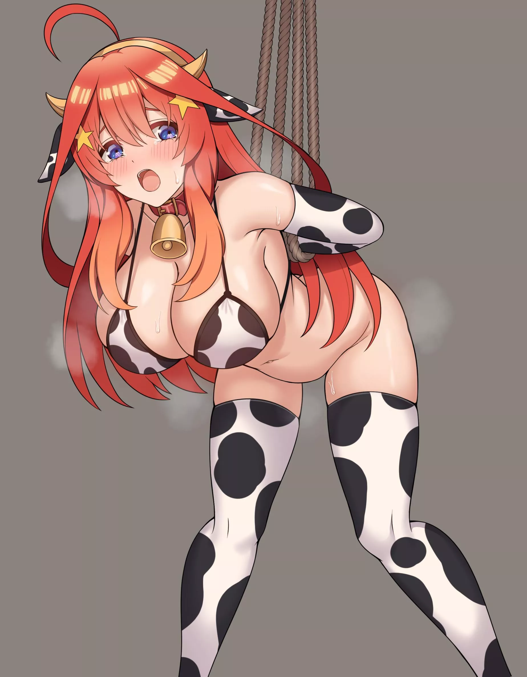Itsuki The Cow (Quintessential Quintuplets)