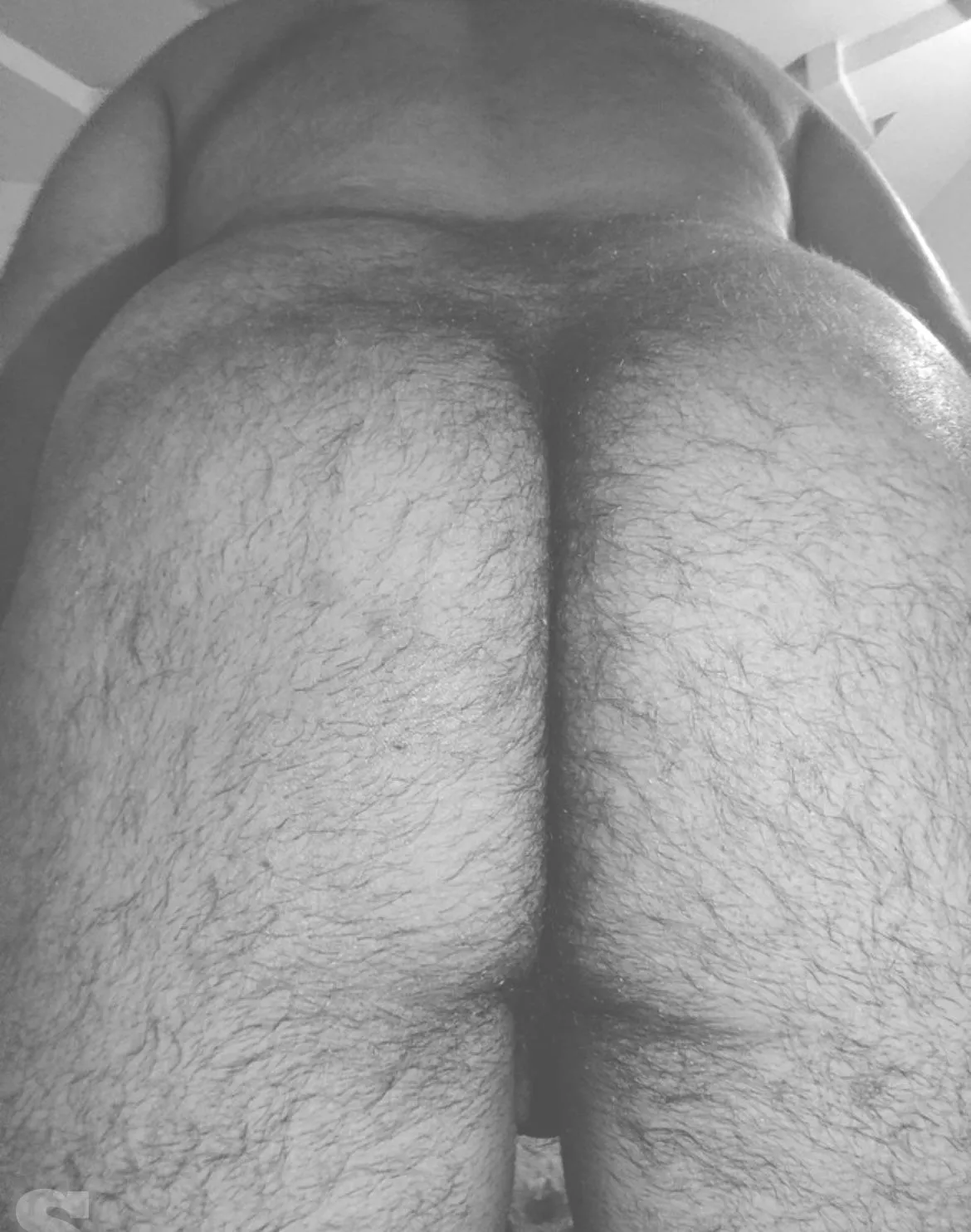 May i take a seat on your face