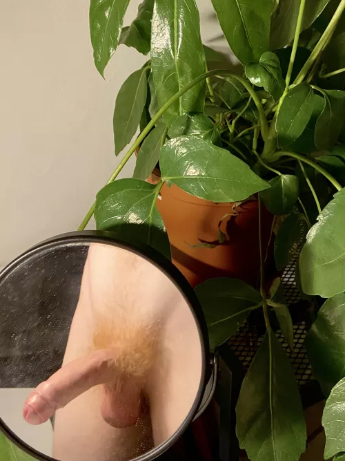 not sure who’s dirtier, the mirror or me😏