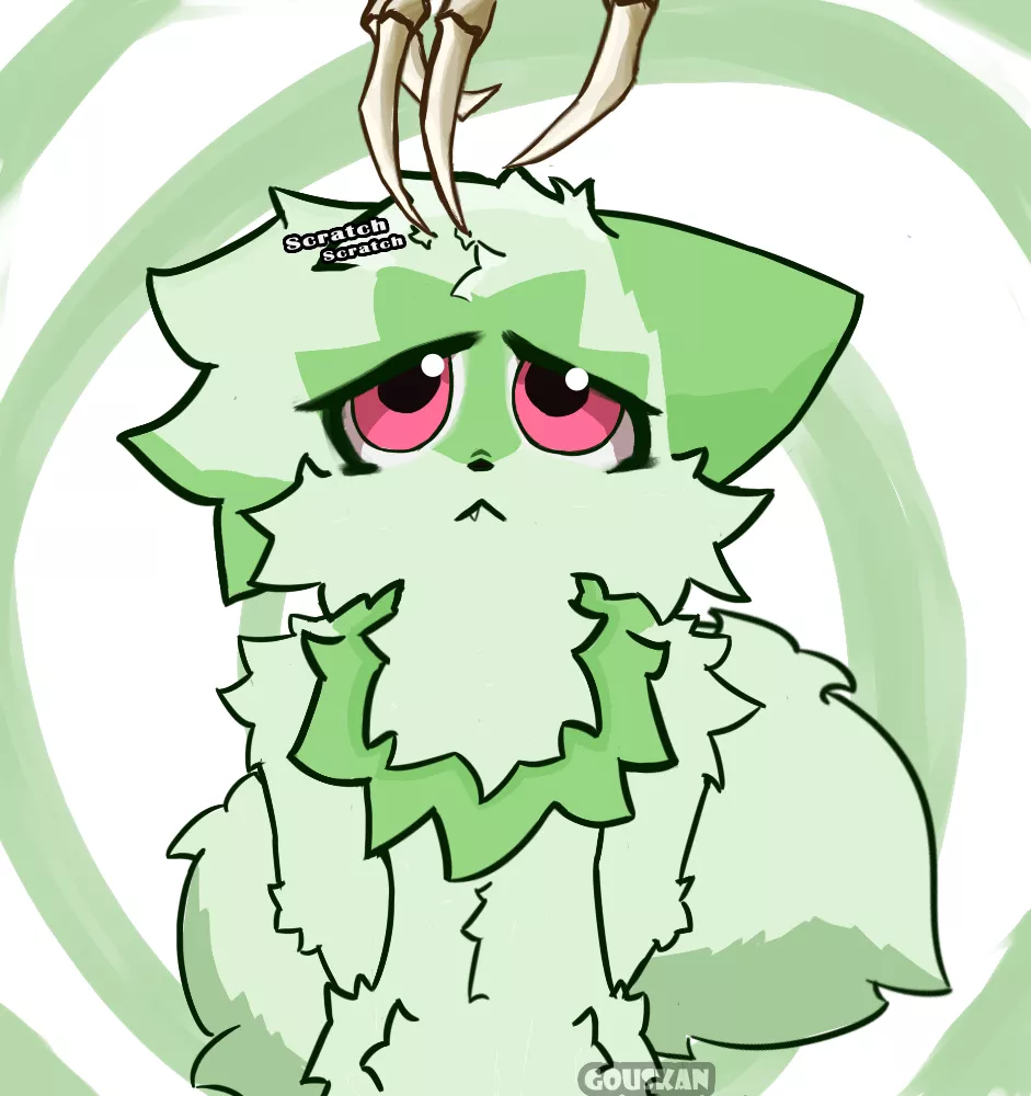 Petting my pet before ascending beyond any comprehension (Ill miss him)