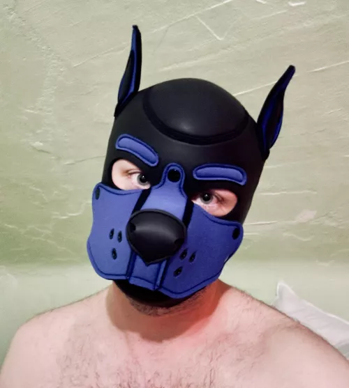 Pup’s First Hood!