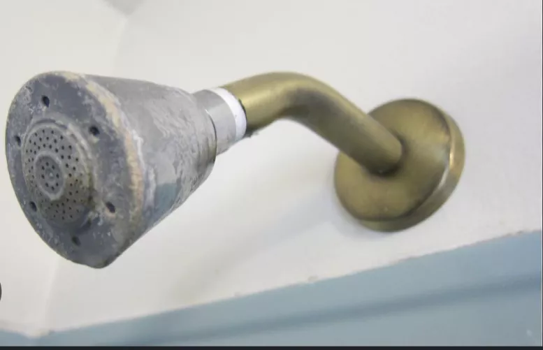 Reeducation Training Starts