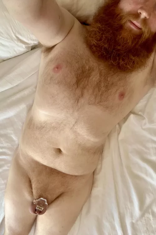 Do you like a kinky ginger? 😁