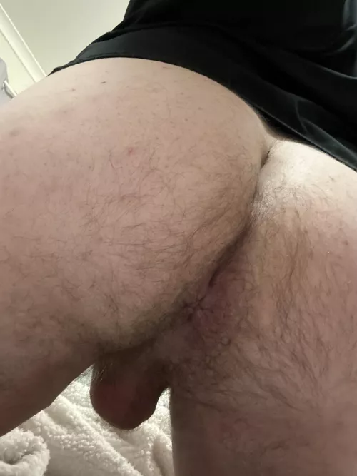 Hairy aussie virgin ass for you dudes 