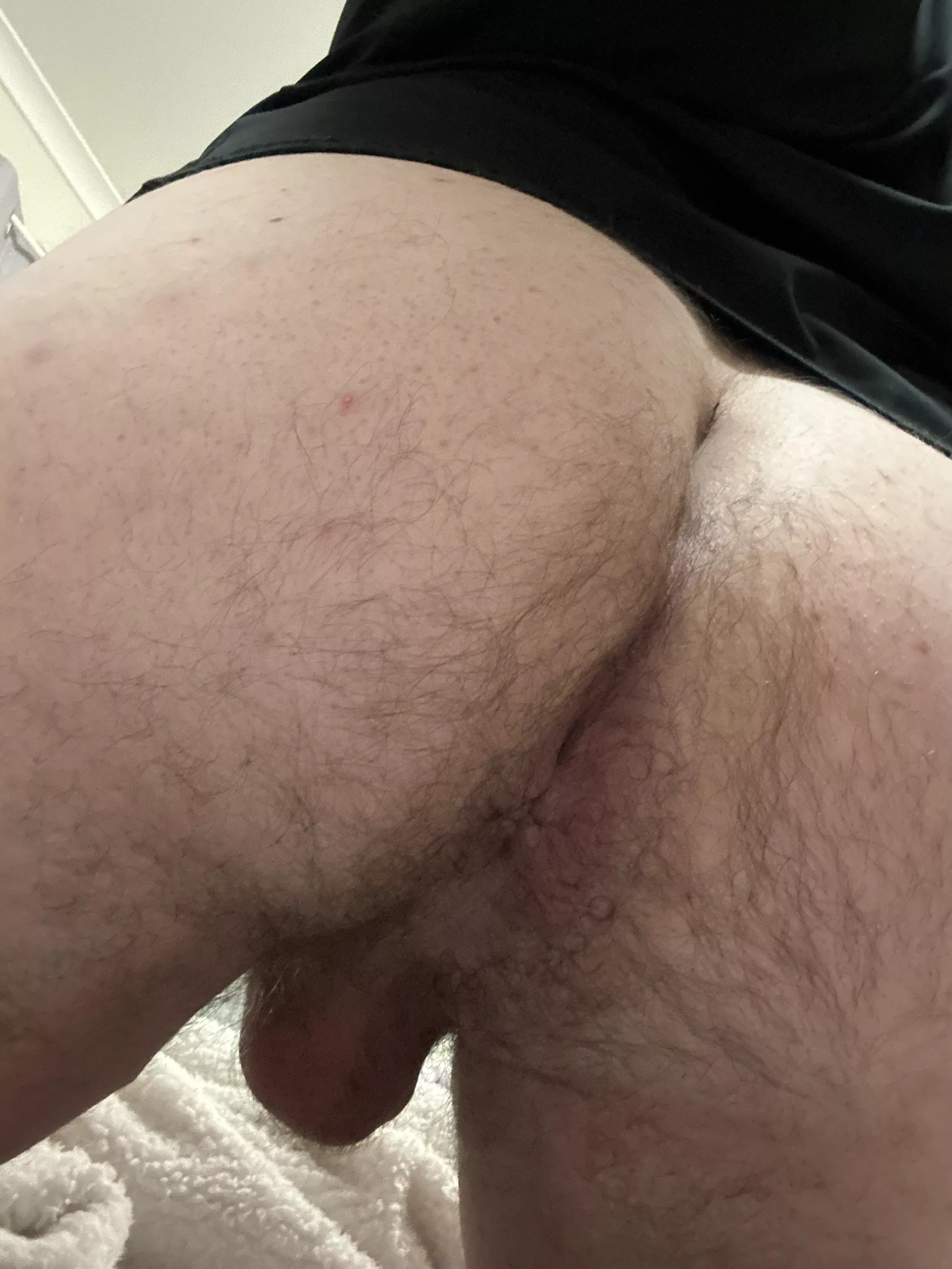 Hairy aussie virgin ass for you dudes 