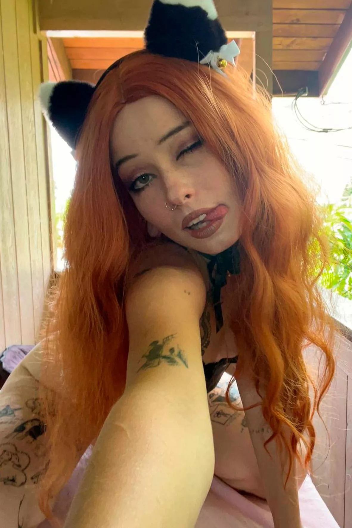 Should I use my paws, or would you let me jump on your D