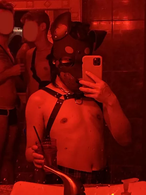 Who wants to play? Awrruff!