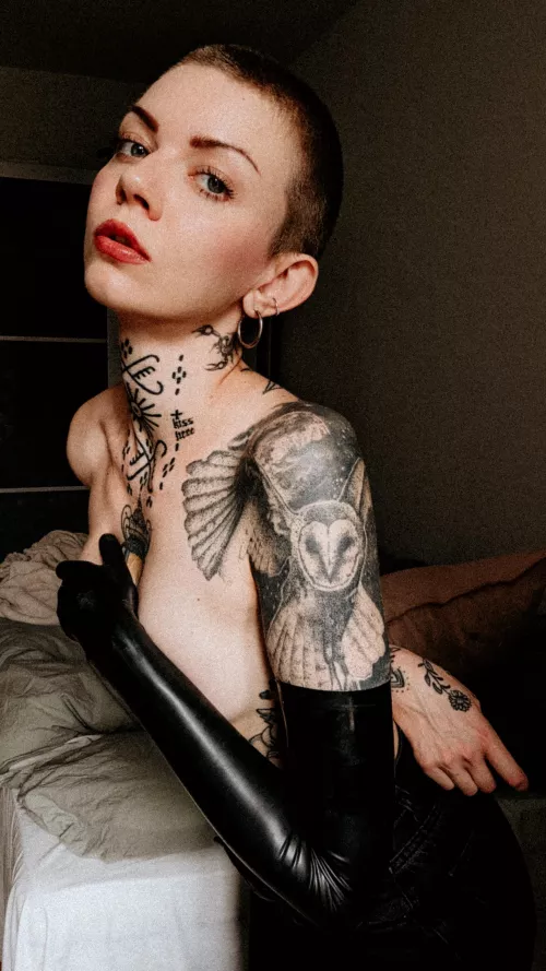 would you let me dominate you? 