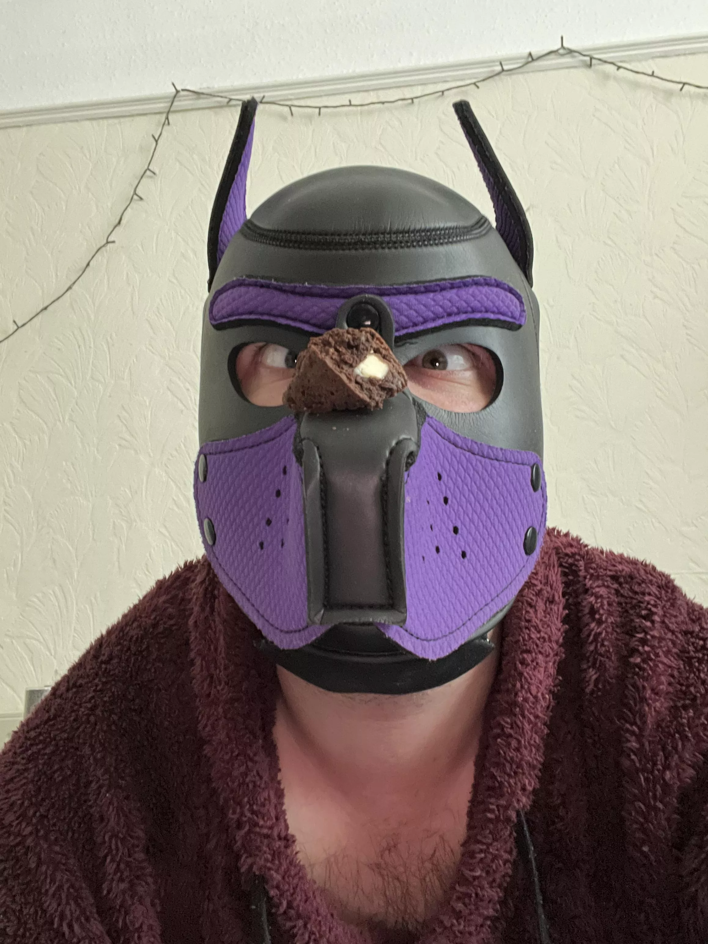 Brownie!! 😍🐾🤤💖✨