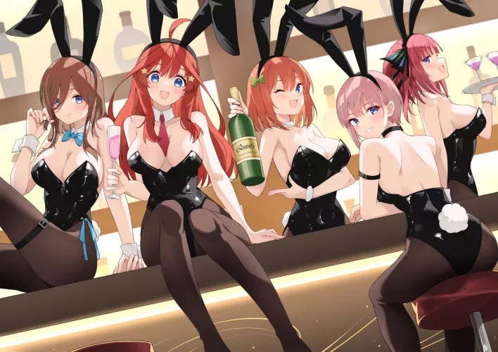 Bunny Quints [The Quintessential Quintuplets]
