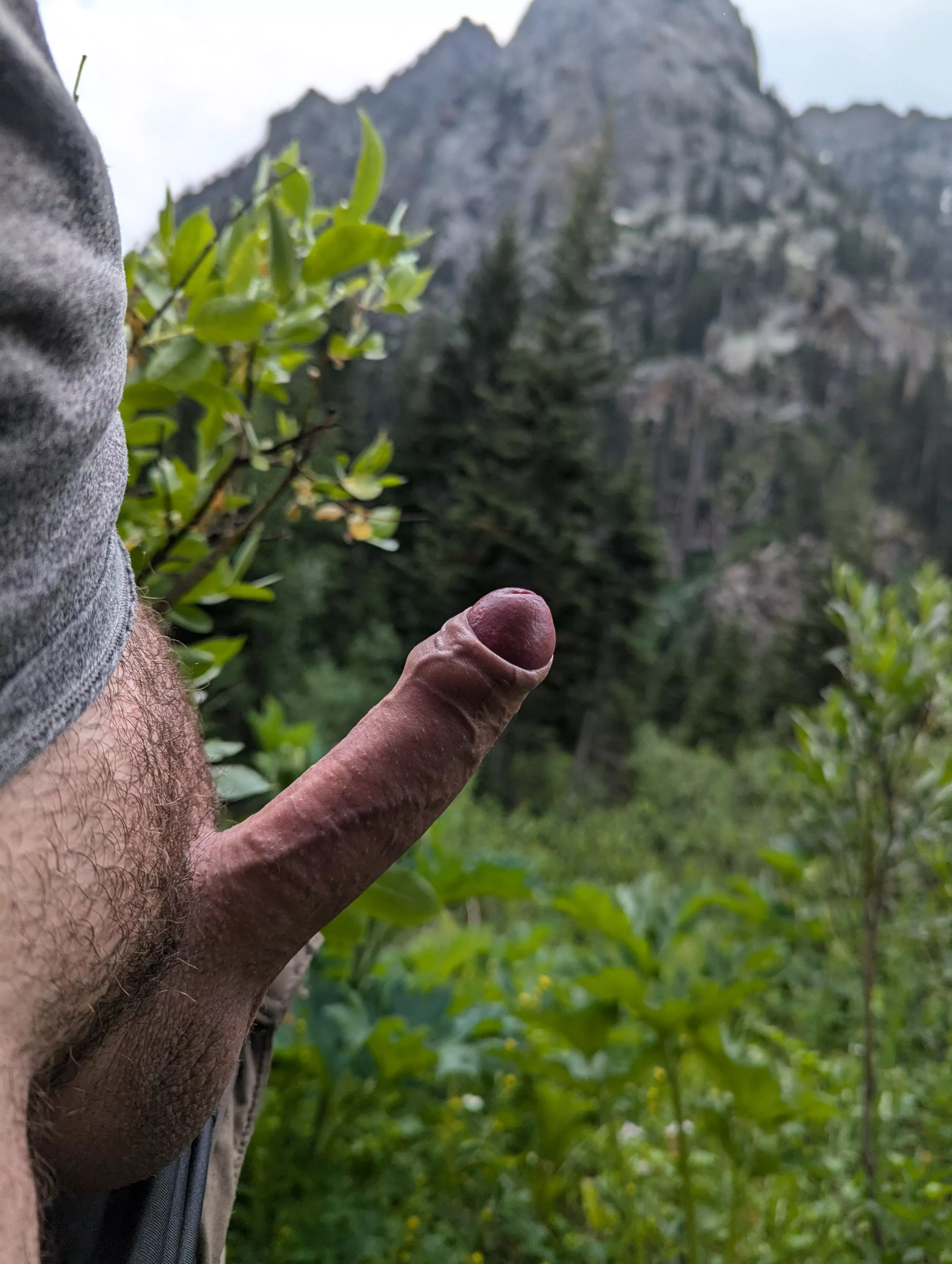 Howdy from an uncut American 